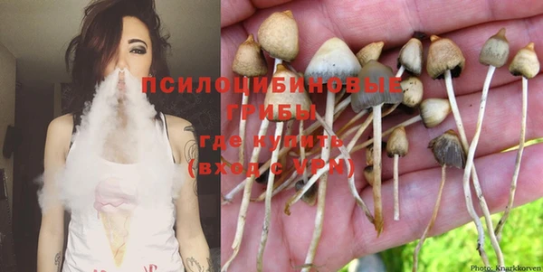 прущая мука Алзамай