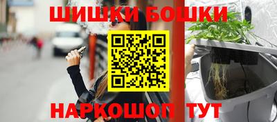 крисы Ирбит