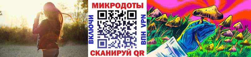 Галлюциногенные грибы Psilocybe  Ишим 