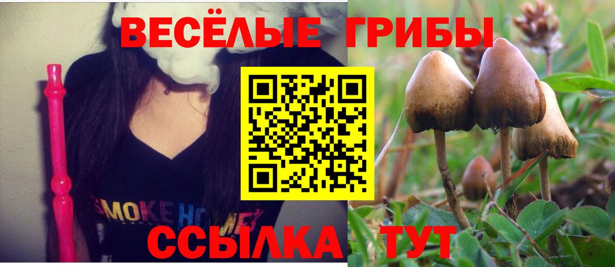 Ишим  Галлюциногенные грибы мухоморы  Галлюциногенные грибы ЛСД  Вход с VPN 